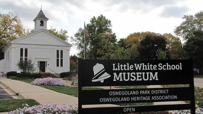 Oswego museum to celebrate 19th Amendment centennial with Zoom presentation