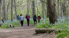Will federal cuts to national parks lead to more state park visitors? Travelers are monitoring effect