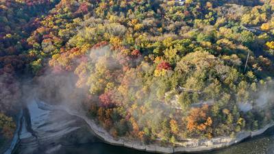 NCI ARTworks to open “Season of Color” exhibit featuring three artists