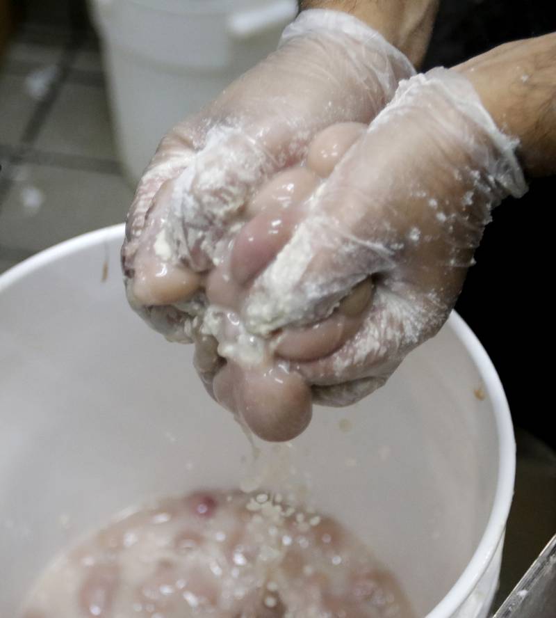 Parkside Pub cook Alfredo Andrado grabs a handful of turkey testicles to be coated in flour prior to deep frying with head cook Javy Garcia during the 39th annual Turkey Testicle Festival at Parkside Pub on Wednesday, Nov. 24, 2021, in Huntley.