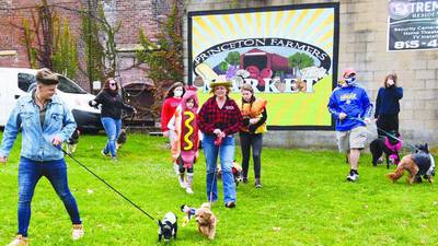 Photos: Families get into the Halloween spirit during Princeton's annual scarecrow festival