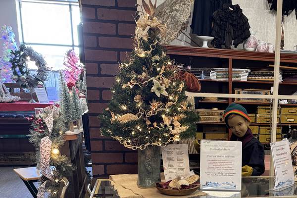 Goose Lake Prairie Partners sponsor special tree Festival of Trees