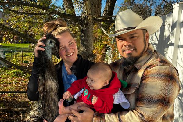 Couple gives up fight to keep emus in McHenry, will move
