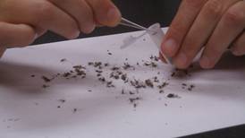 Will County reports first 2024 human case of West Nile Virus in Illinois