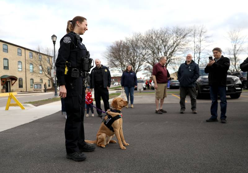 River, the Batavia Police Department’s new 11-month-old comfort dog, meets the public with her handler, Officer Liz Webb, before being sworn in on Monday, April 21, 2025 during a Batavia City Council meeting.