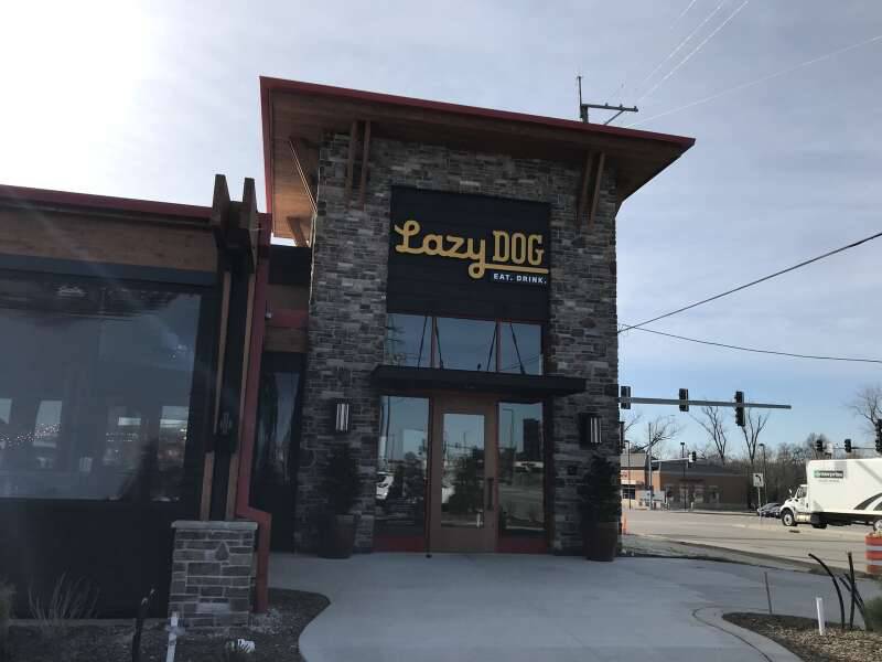 Lazy Dog Cafe opened its newest location in Buffalo Grove Tuesday, March 11, 2025.