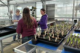 Seed swap Saturday: Gardening community grew online – then blossomed in real life