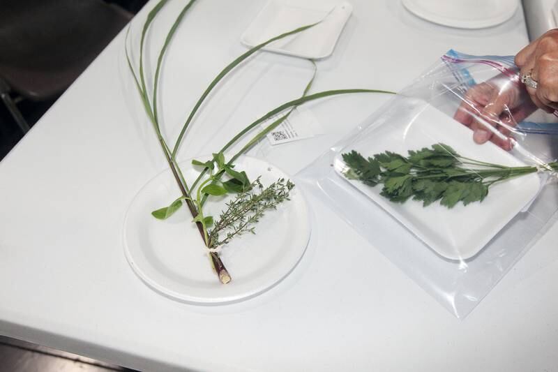 Kathleen Martinez, of Antioch puts her 2 entries for the garden category on a table to be checked-in and  judged in the Expo Hall before the start of the Lake County Fair on Tuesday, July 25th at the Lake County Fairgrounds in Grayslake. The fair runs from July 26th-30th.
Image by Candace H. Johnson for Shaw Local News Network