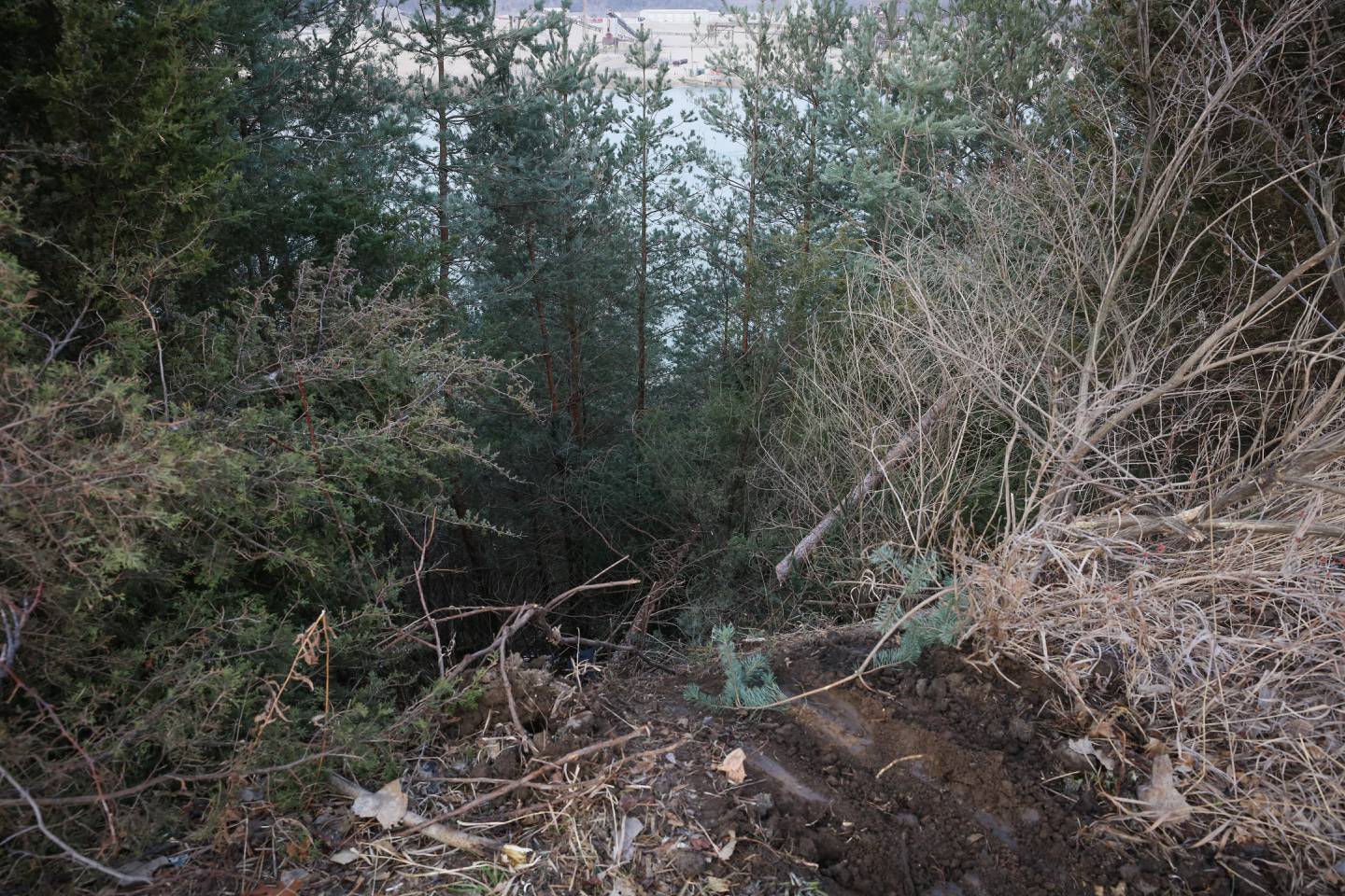 A single driver was rescued Saturday morning, Dec. 31, 2022, by first responders with the Algonquin-Lake in the Hills Fire Protection District and Algonquin Police Department when their vehicle crashed and was trapped down a tree-lined ridge.