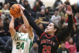 Photos: Huntley vs. Crystal Lake South, FVC girls basketball
