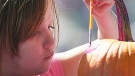 5 things to do in the Illinois Valley: Fall activities, arts, car show among the activities