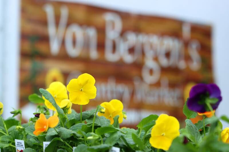 Flowers were on display at the Von Bergen’s Country Market booth during the farmers market Saturday, April 29, 2023, on the historic Woodstock Square.