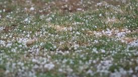 From 61 degrees to snow? Northern Illinois could see winter return by St. Patrick’s Day