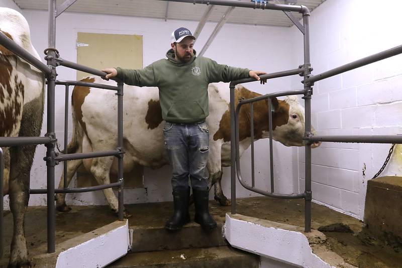Grant DeYoung, of Bull Valley Farms, waits for one of the farm’s herd of cows to enter the milking parlor on Friday, March 10, 2023. The farm recently started bottling their own milk under the Cow Valley Creamery label.