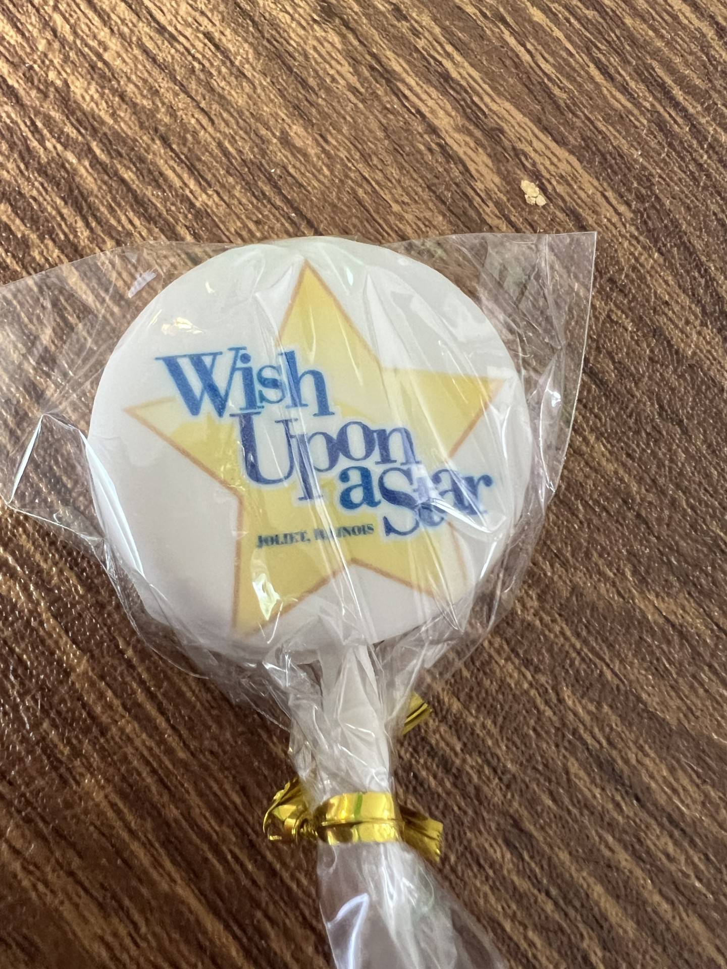 Wish Upon a Star in Joliet is hosting its second Wishstock event on July 6. The event raises money to fulfill wishes for Will County children with a serious illness.