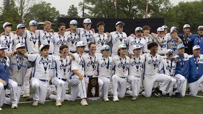 Photos: Newman vs Eureka Class 2A state baseball third place game