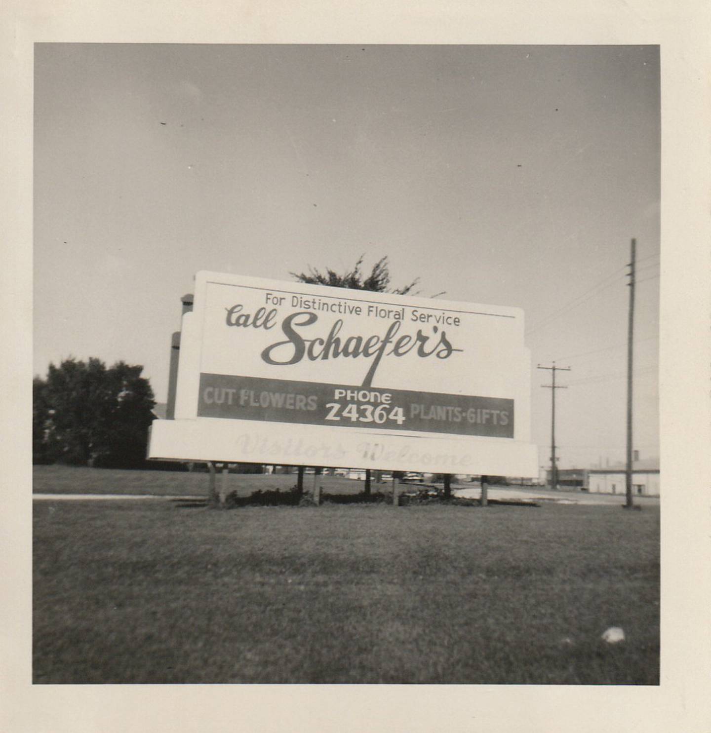 The company started in Montgomery with three greenhouses. Within four years, they added four more. Before the decade was out, Schaefer had bought out his partner and renamed the business Schaefer Greenhouses.