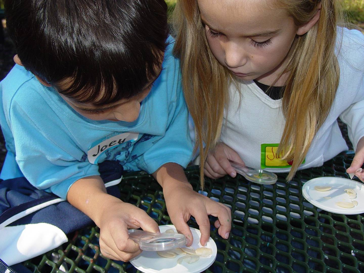 The Pierce Downer's Heritage Alliance raised substantial funds for the Wonder Woods (formerly Little Sprouts) program, a partnership between the Downers Grove Park District and School District 58 that creates a full-day field trip to Lyman Woods.