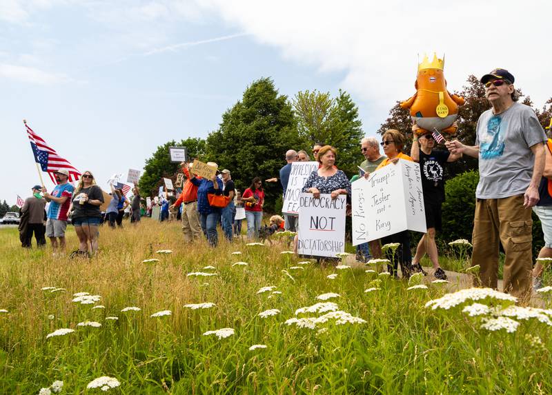 Protesters gather on South Randall Road for a “No Kings Day” Protest against President Donald Trump’s policies along South Randall Road in Geneva on Saturday, June 14, 2025.