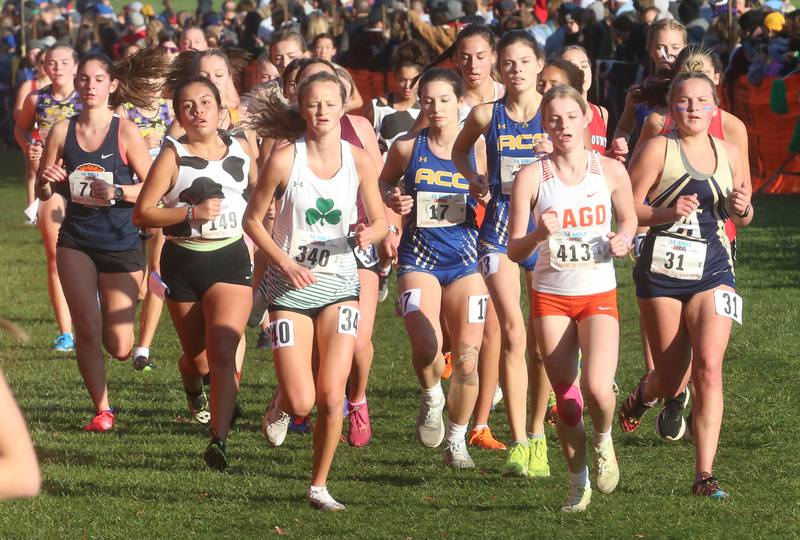 Seneca's Lily Mueller (left) Aurora Central Catholic's Olivia Koral and teammate Nicole Smith (center) compete in the Class 1A Cross Country Finals on Saturday, Nov. 4, 2023 at Detweiller Park in Peoria.