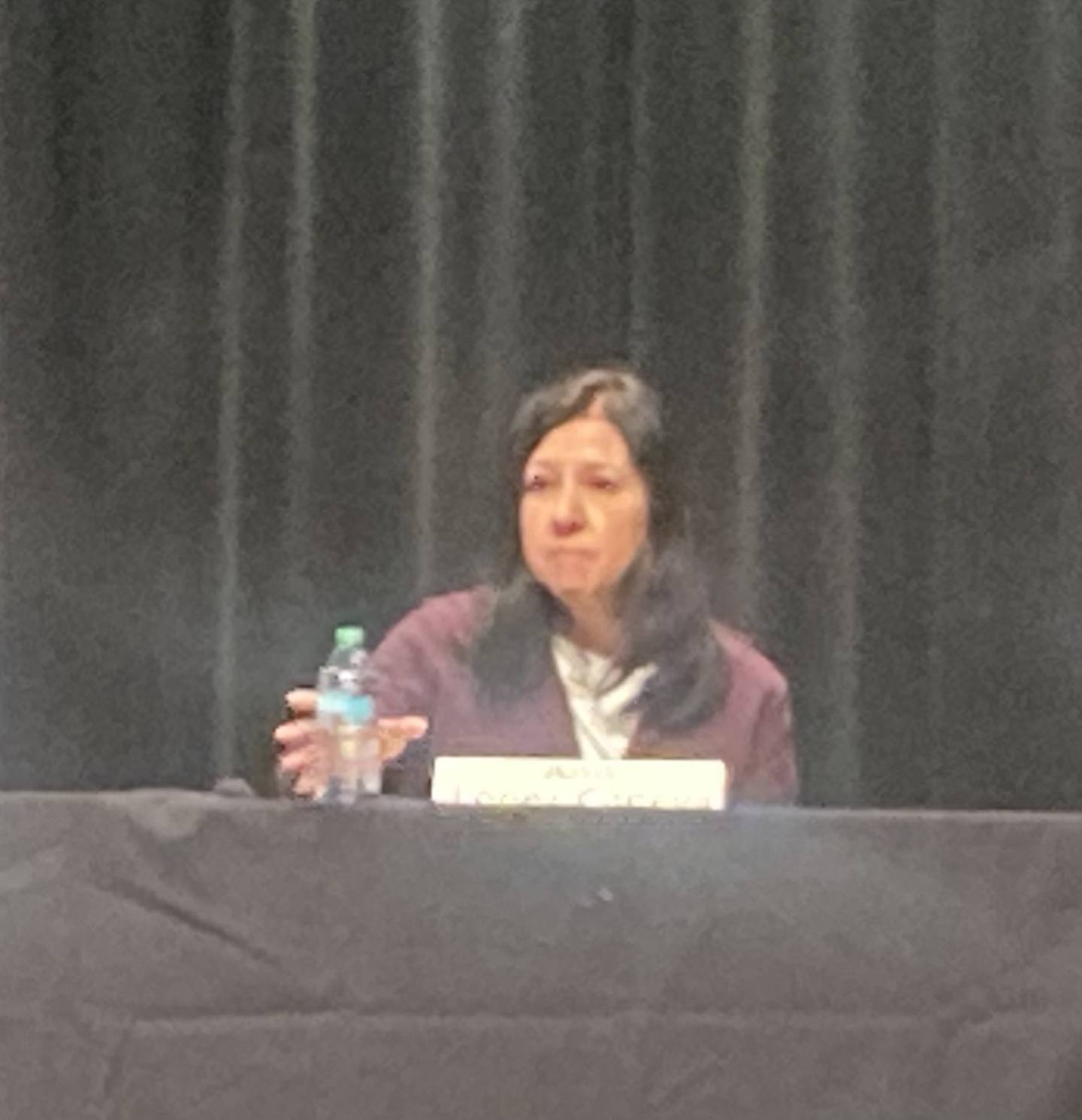 Lockport Township High School District 205 Board of Education candidate and current board President Ann Lopez-Caneva speaks at the LTHS 205 Foundation Candidate Forum on Tuesday, March 4, 2025.