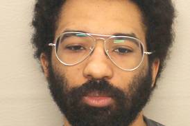 Markham man pleads guilty to battery against Polo woman