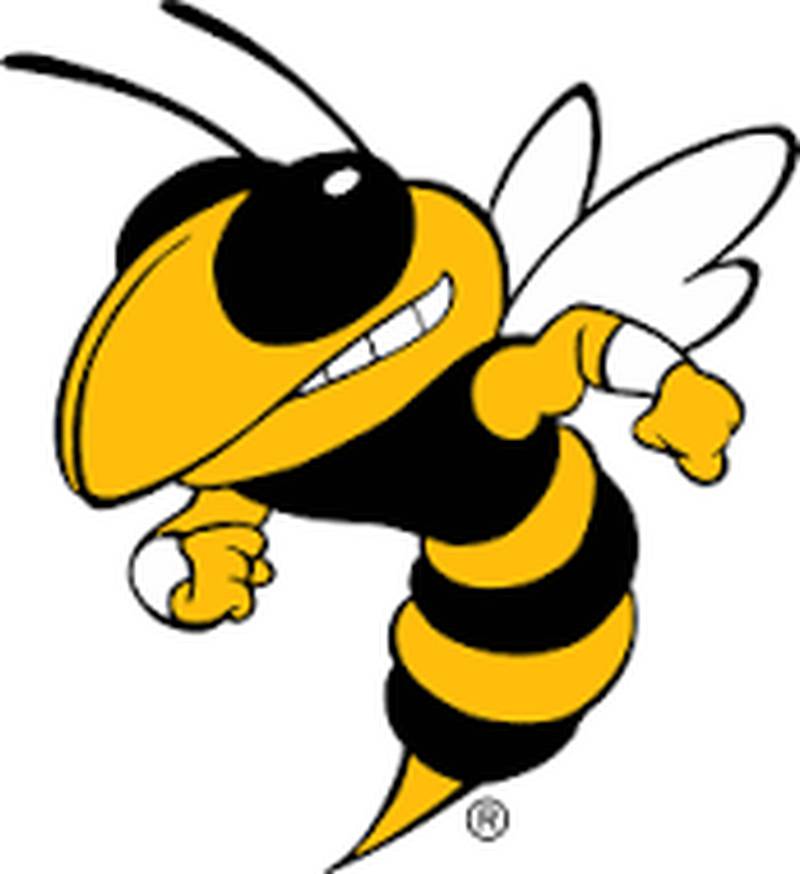 Hinsdale South logo