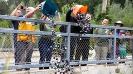 Photos: Forest Preserve District of DuPage County holds annual rubber duck race 