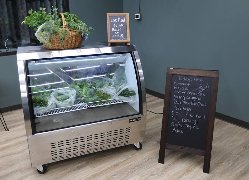 The retail area of  Living Roots Farm on Thursday, Jan. 8, 2026, at the Fox Lake aeroponic, hydroponic, and microgreen farm. The farm has been selling it’s produce to area restaurants and has just started retail hours for people to come in and buy produce and micro-greens.