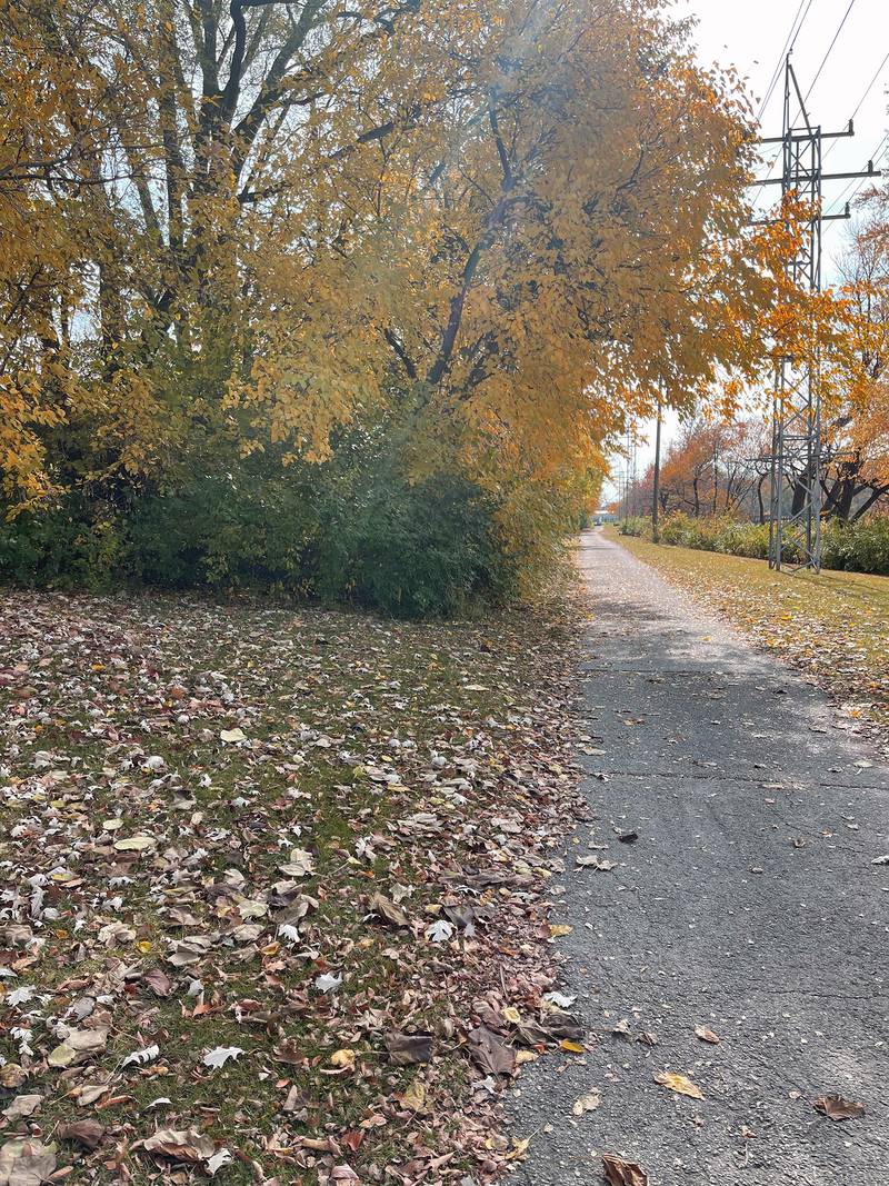 On Nov. 12, the Batavia Park Board of Commissioners will host a ribbon cutting and dedication at 10 a.m., naming a linear park along South River Street in memory of Philip B. Elfstrom, a Batavia leader, visionary and businessman who was instrumental in creating Kane County bike paths along abandoned rail lines.