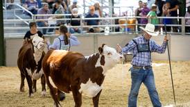 It’s (almost) showtime at the Illinois State Fair