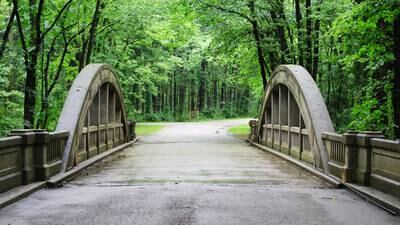 A window into a world of wonder in Winnebago County