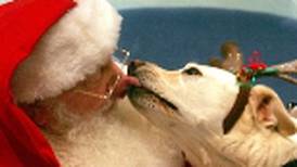 Hawthorn plans photos sessions for pets with Santa