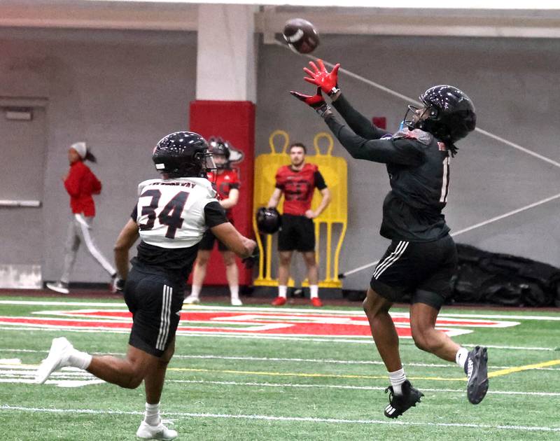 Northern Illinois wide receiver Jamari McIvory tries to make a catch as cornerback Ryan Williams provides the coverage during the first spring football practice Thursday, March 27, 2025, in the Chessick Practice Center at NIU in DeKalb.