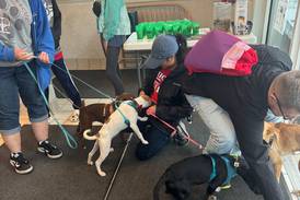 Oswego cops and canines to come together for adoption event