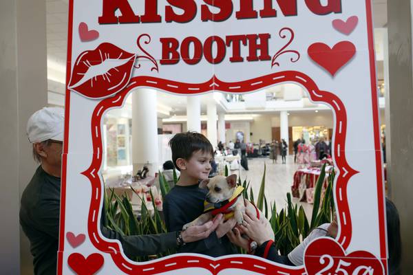 A smooch from a pooch: Rescue dogs meet pet lovers at kissing booth in Yorktown Center 