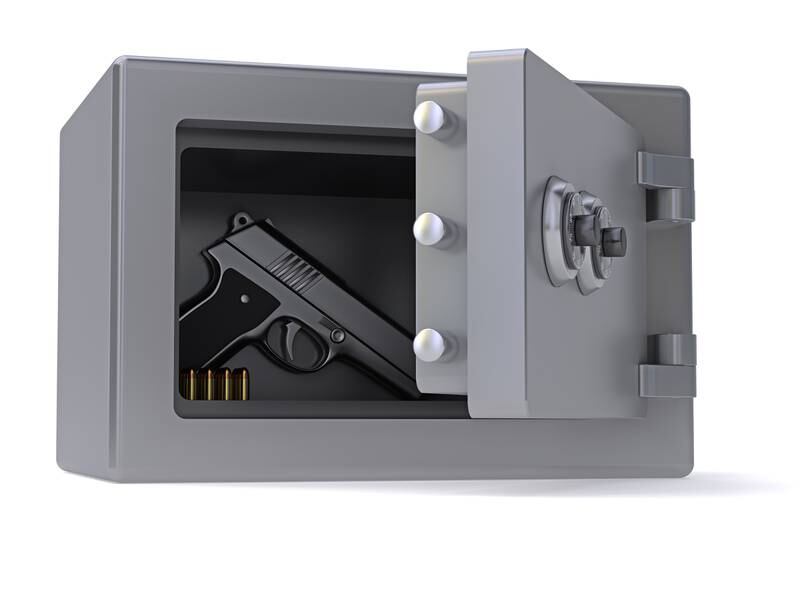 Northern Illinois Carry - Basics of Gun Safety: What Every Firearm Owner Should Know