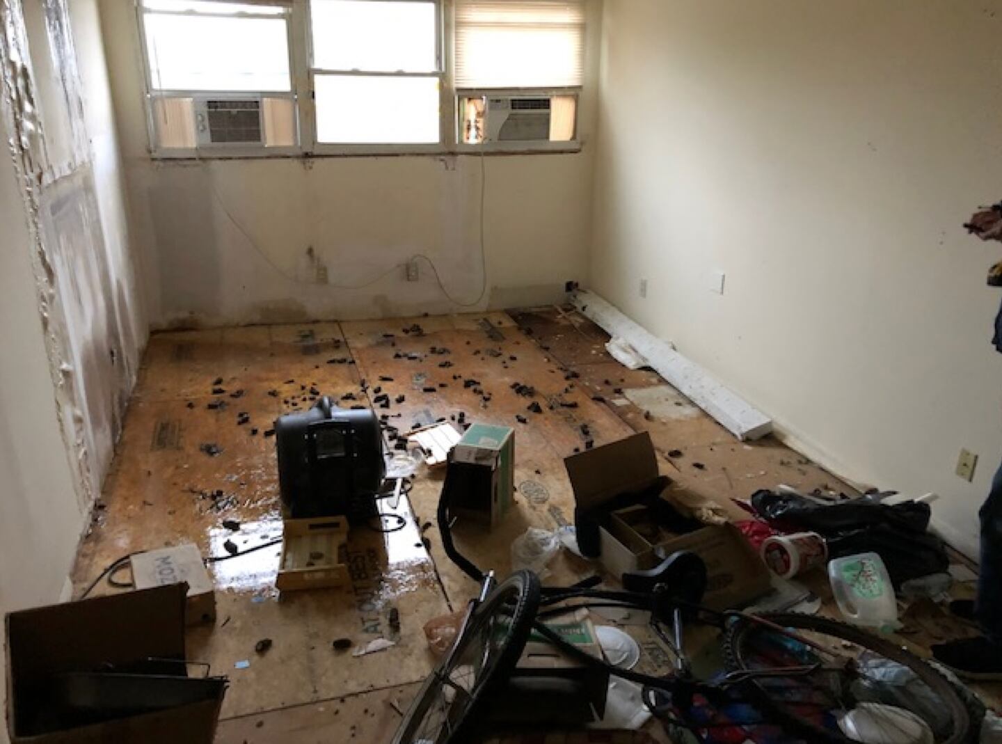 In an undated photo shared with the Daily Chronicle by city staff Tuesday, April 26, 2022, animal feces can be seen on the floor of a condemned upper residential unit in the Hillcrest Shopping Center building on Hillcrest Drive in DeKalb after a tenant had relocated. (Photo provided by City of DeKalb)