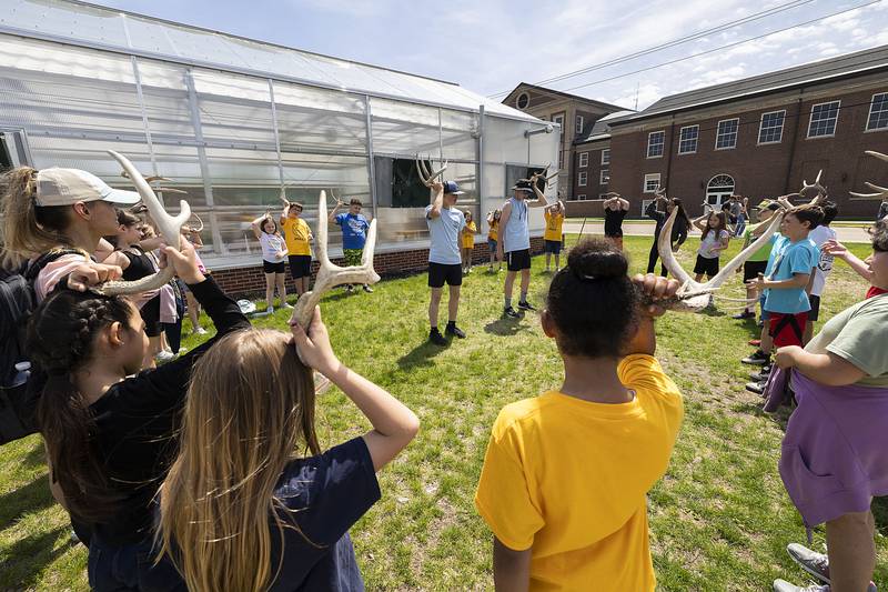 Landon Kukowski, Sterling High School FFA Vice President and Grant Hartman speak to Jazzie Pinzon’s third grade Lincoln School class Thursday, May 11, 2023 during the School’s Farmapalooza about antler shedding for deer.