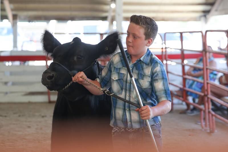Gavin Carey walks Nick for judging in the Market Steer competition at the Grundy County 4-H Fair on Sunday, July 30 in Morris.
