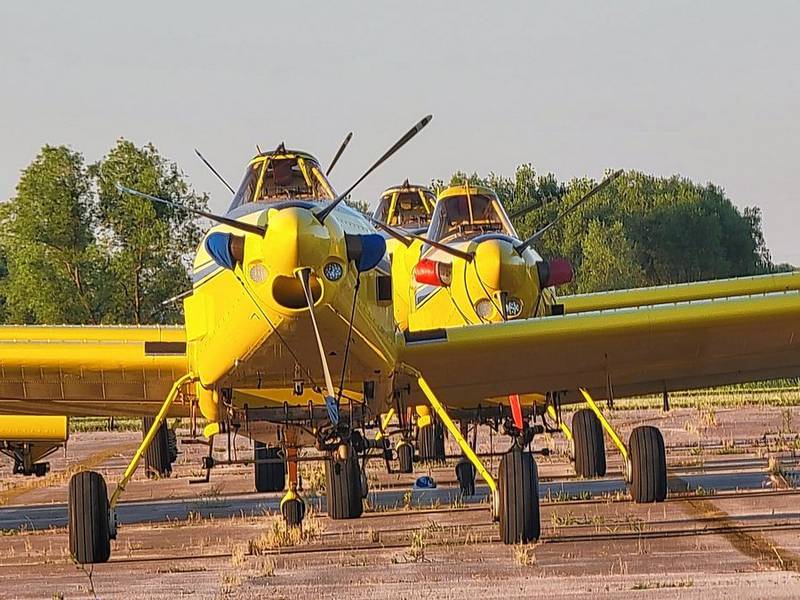 Low-flying yellow planes like these will be used to spray over some suburbs beginning this week to curb the spread of the destructive spongy moth.