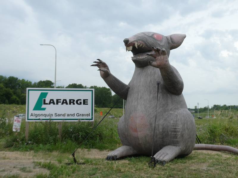 Members of Local 150 of the International Union of Operating Engineers have been on strike since June 7, 2022, against three construction companies: Lehigh Hanson, Vulcan Materials, and Lafarge Holcim. In this photo, a large inflatable rat, "Scabby", has been placed by Local 150 outside a Lafarge site off of Route 31 in Algonquin.