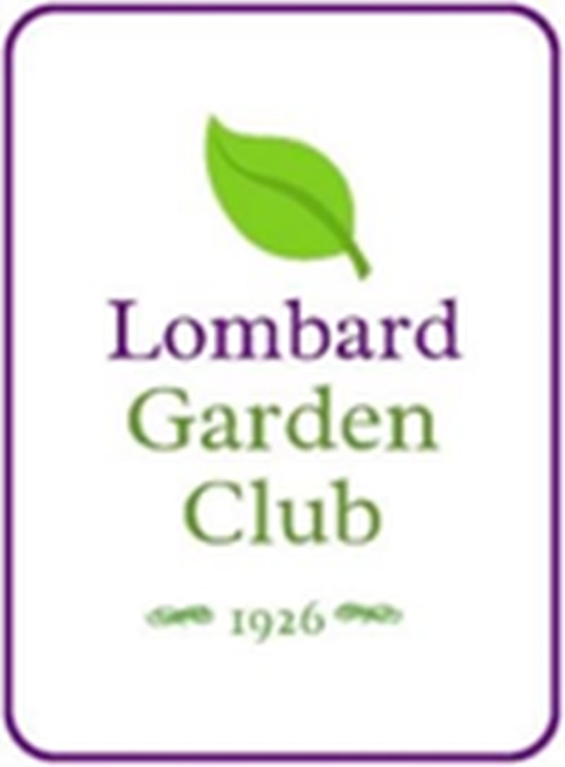 The Lombard Garden Club has announced “iPhone Photography” with speaker and professional photojournalist Erica Benson at 6:30 p.m. on Thursday, July 17, 2025, at the First Church of Lombard, 220 S. Main Street.