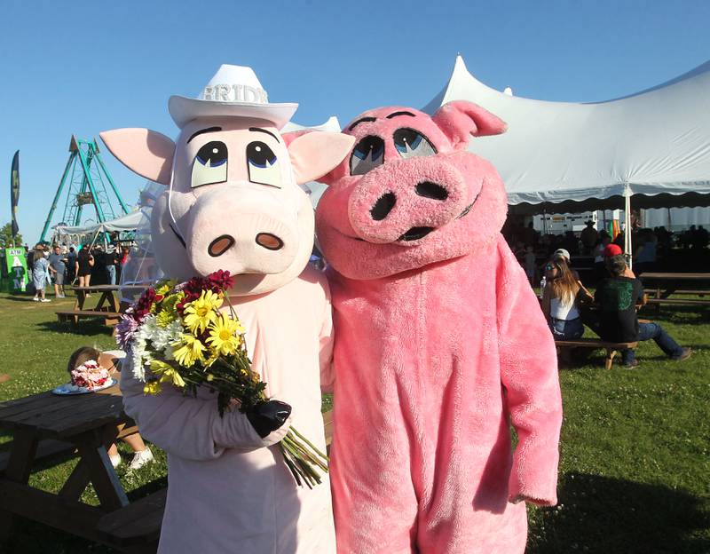 Penny and Porkchop are all smiles after their FAIRy-tail Wedding during the Lake County Fair at the Lake County Fairgrounds on Saturday, July 29th in Grayslake.  
Photo by Candace H. Johnson for Shaw Local News Network