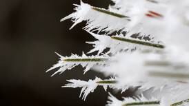 Snow expected in Sauk Valley this weekend