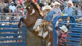 PHOTOS: Wild Rides at Lee County Fair Rodeo