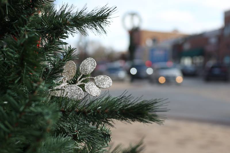 A decorated tree sits outside a small business in downtown Plainfield on Wednesday, Nov. 22, 2023, in Plainfield.