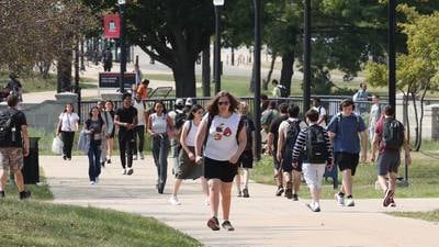 University enrollment in Illinois grows to 10-year high despite some declines