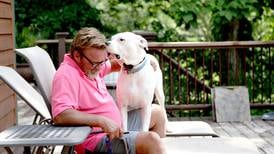 Kane judge to decide future of lawsuit over shooting death of Wayne dog, Ludwig