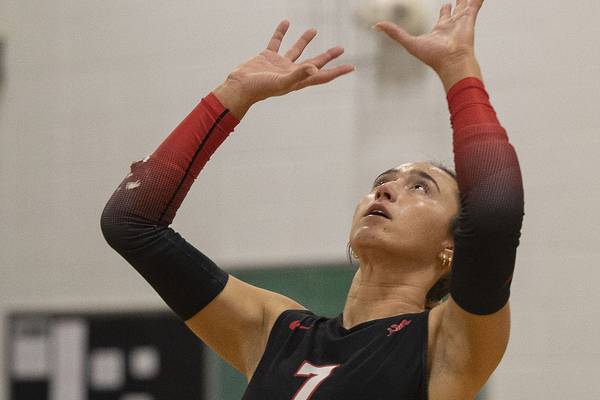 Three Sauk Valley Skyhawks earn all-region